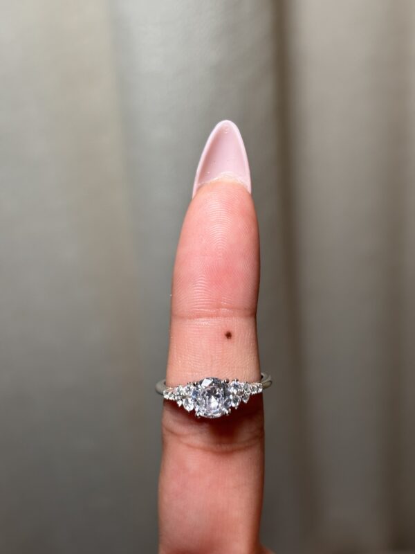 IMG_9373 Anillo Estela de Astros