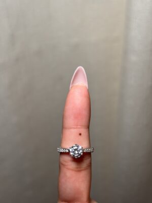 Anillo Prestigio Absoluto