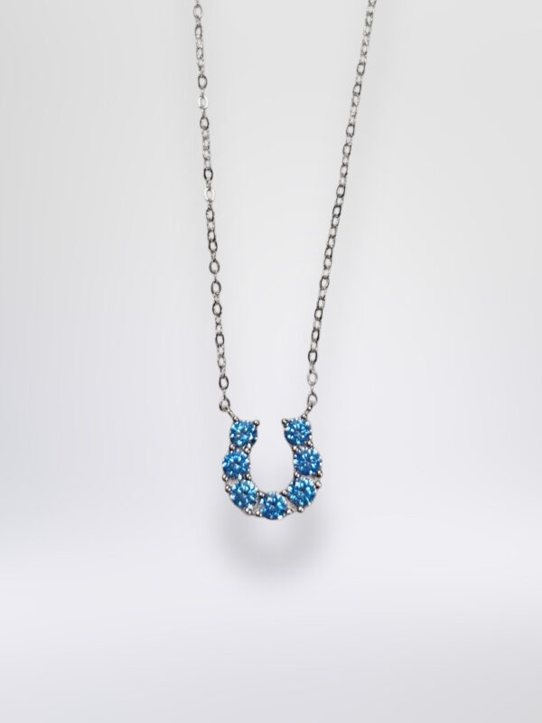 45D47674-F71F-4045-A05A-050EF5BD6F73 (1) Cadena Azure Fortune Horseshoe
