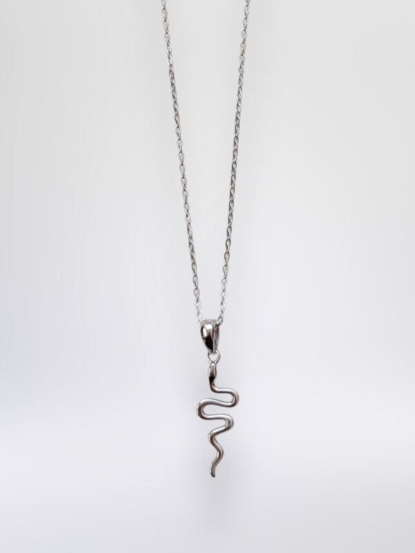 48C0B158-98E0-4243-A900-AB45806E797B Cadena Snake Mystic