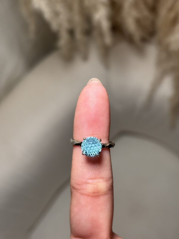 IMG_2715 Anillo Océano de Brillo