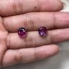 Topos bicolor rosado y morado