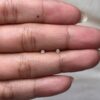 Topos mini redondos transparentes con broche de seguridad
